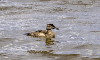 PHOTO 2023 11 09 10 41 44 1