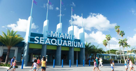 MIAMI SEAQUARIUM