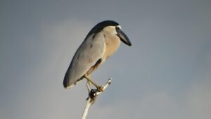 PHOTO 2025 02 04 14 35 02