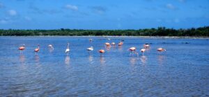 PHOTO 2025 02 13 12 21 24