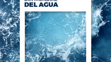 PHOTO 2025 03 21 18 15 32