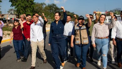 PHOTO 2025 03 25 11 25 14