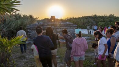 3CEDB9B9 9AD8 4E3B 90E9 6C9DB8361384