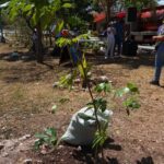 DÍA INTERNACIONAL DE LA MADRE TIERRA CON ARBORIZACIÓN 3
