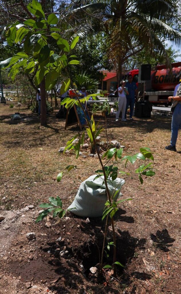 DÍA INTERNACIONAL DE LA MADRE TIERRA CON ARBORIZACIÓN 3