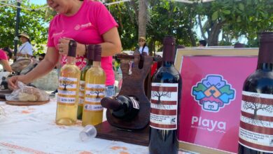 PHOTO 2025 04 02 14 27 04 12