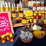 PHOTO 2025 04 02 14 27 05 12