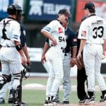 PHOTO 2025 04 10 09 20 20 4