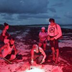 PHOTO 2025 04 12 19 52 34