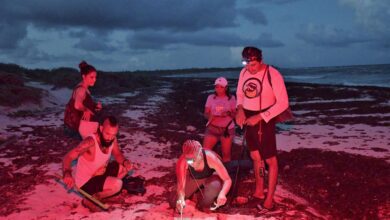 PHOTO 2025 04 12 19 52 34