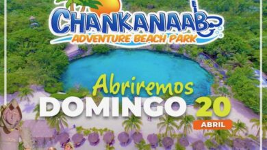 PHOTO 2025 04 16 11 03 15