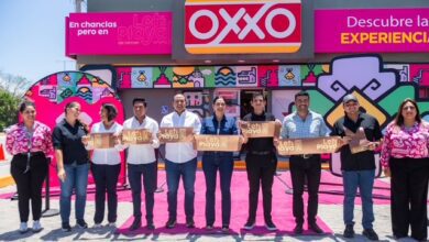 PHOTO 2025 04 25 16 45 53