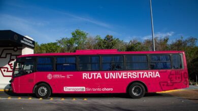 PHOTO 2025 05 09 15 51 20