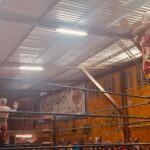 PHOTO 2025 05 16 12 16 36 4