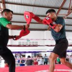 PHOTO 2025 05 19 19 29 02