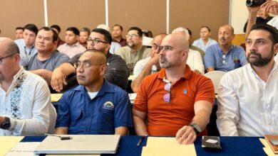 PHOTO 2025 05 20 09 41 40