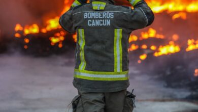 PHOTO 2025 05 24 14 04 36