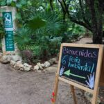 CONMEMORAN EL DíA MUNDIAL DEL MEDIO AMBIENTE EN EL PARQUE ECOLóGICO KABAH DE CANCúN1