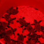 PHOTO 2025 06 15 08 20 25 1