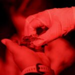 PHOTO 2025 06 15 08 20 25