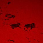 PHOTO 2025 06 15 08 20 25 2