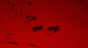 PHOTO 2025 06 15 08 20 25 2