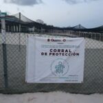 PHOTO 2025 06 15 08 20 26 1