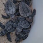 PHOTO 2025 06 15 08 20 26