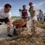 PHOTO 2025 06 17 13 18 31 2