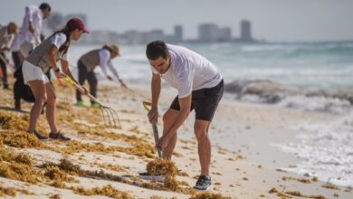 PHOTO 2025 06 17 13 18 31