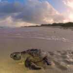 PHOTO 2025 06 19 16 50 20 1