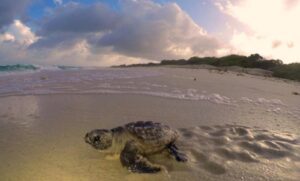 PHOTO 2025 06 19 16 50 20 1