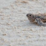 PHOTO 2025 06 19 16 50 20