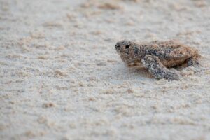 PHOTO 2025 06 19 16 50 20