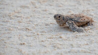 PHOTO 2025 06 19 16 50 20