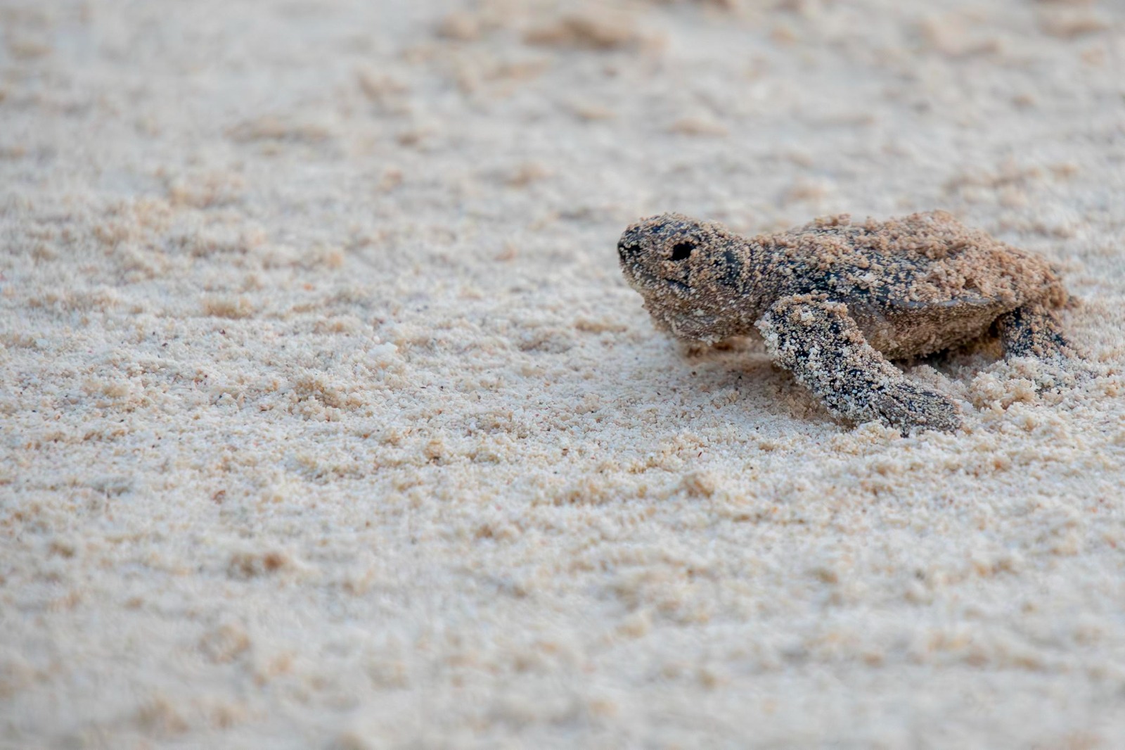 PHOTO 2025 06 19 16 50 20