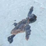 PHOTO 2025 06 19 16 50 21