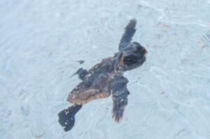 PHOTO 2025 06 19 16 50 21