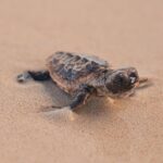 PHOTO 2025 06 19 16 50 22