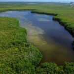 PHOTO 2025 06 21 16 16 21 1