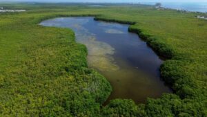 PHOTO 2025 06 21 16 16 21 1