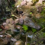 PHOTO 2025 06 21 16 16 22 1