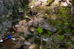 PHOTO 2025 06 21 16 16 22 1