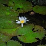 PHOTO 2025 06 21 16 16 23