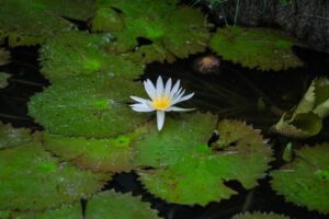 PHOTO 2025 06 21 16 16 23