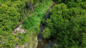 PHOTO 2025 06 21 16 16 26 1