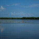 PHOTO 2025 06 21 16 16 26