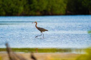 PHOTO 2025 06 26 14 10 46 426