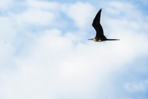 PHOTO 2025 06 26 14 10 46 427