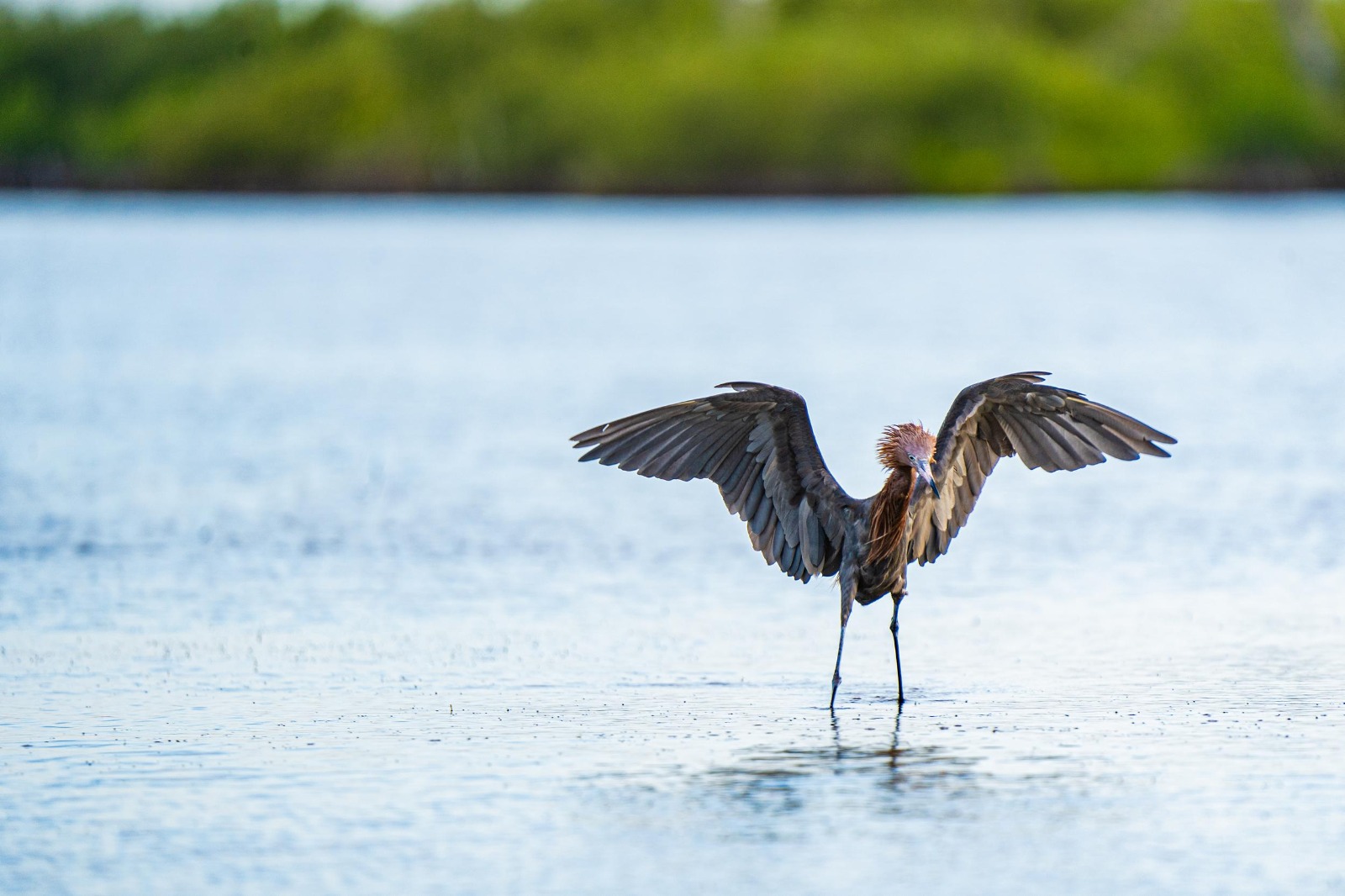 PHOTO 2025 06 26 14 10 47 131